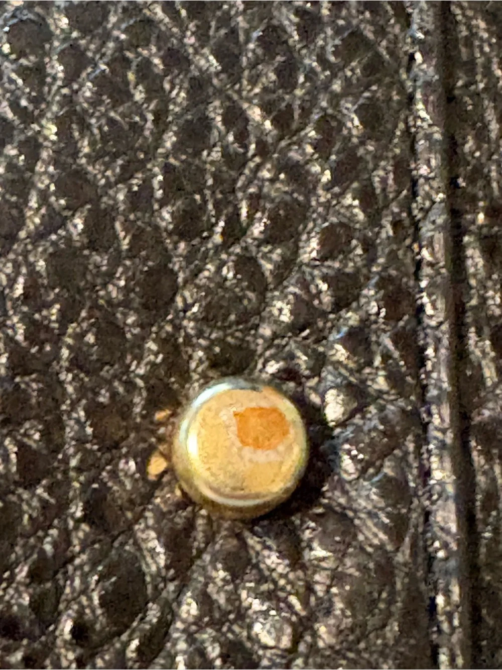 Coach pebbled leather